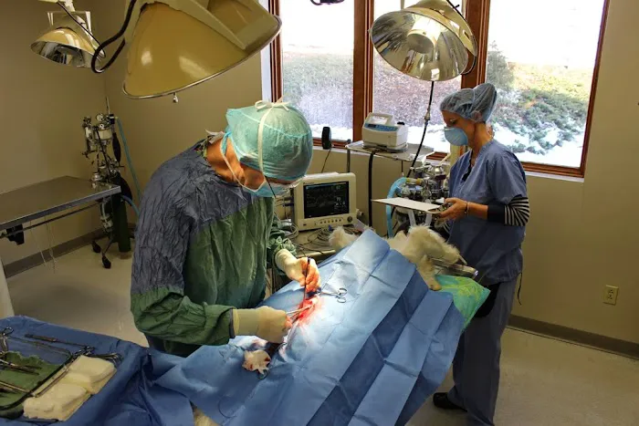 Ellisville Veterinary Hospital Picture 9