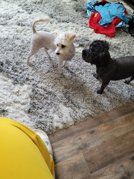 Ellisville Veterinary Hospital Picture 10