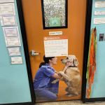Banfield Pet Hospital