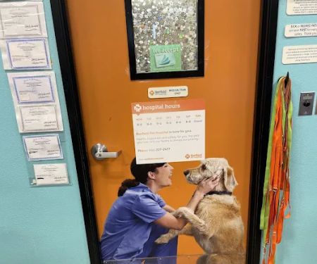 Banfield Pet Hospital