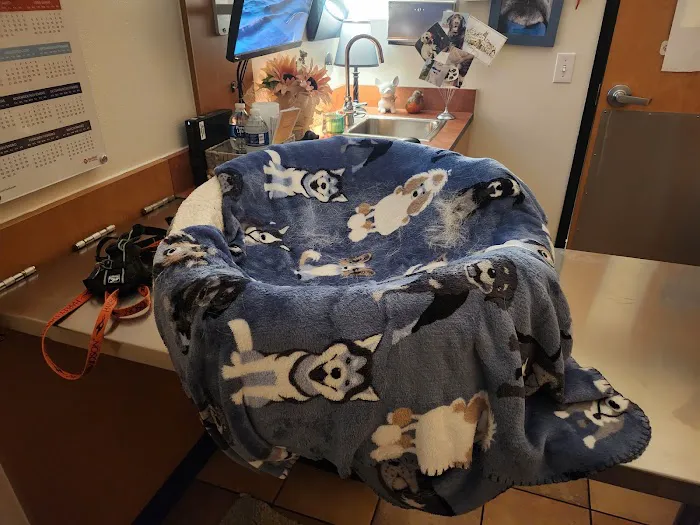 Banfield Pet Hospital Picture 6