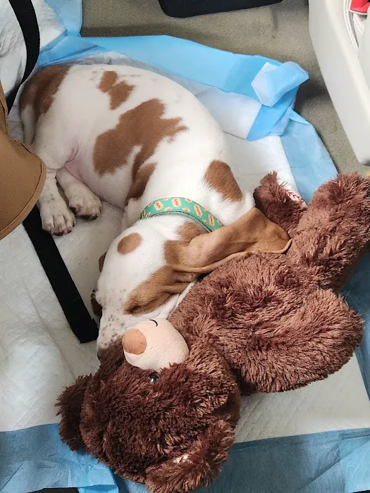 Banfield Pet Hospital Picture 5