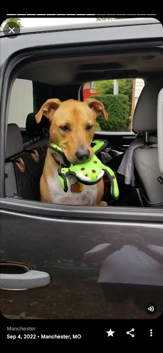 Banfield Pet Hospital Picture 8