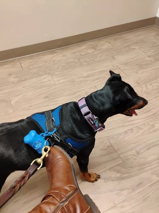 Fox Creek Veterinary Hospital at Manchester Avenue Picture 5