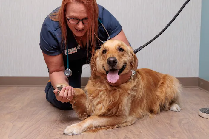 Fox Creek Veterinary Hospital at Manchester Avenue Picture 7