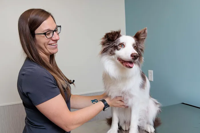Fox Creek Veterinary Hospital at Manchester Avenue Picture 8