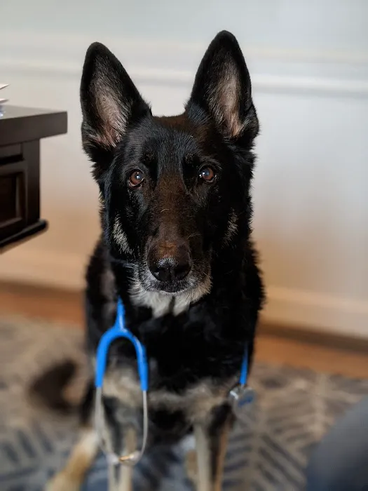 West County Animal Clinic Picture 1