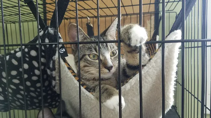 West County Animal Clinic Picture 6