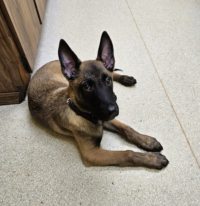 West County Animal Clinic Picture 10