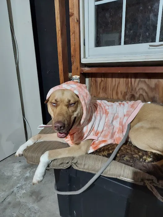 West County Animal Clinic Picture 9