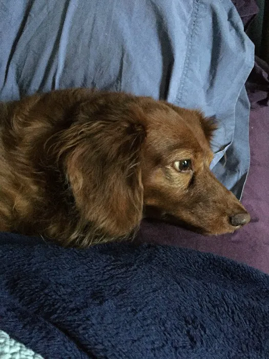 West County Animal Clinic Picture 8