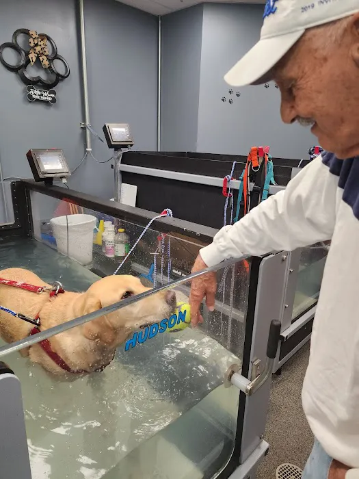 Healing Paws Picture 1