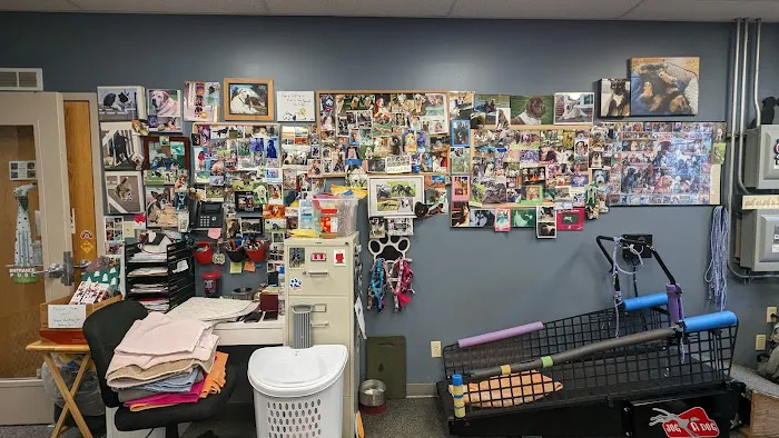 Healing Paws Picture 4