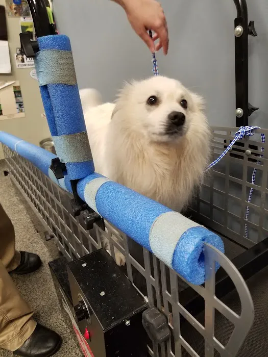 Healing Paws Picture 10