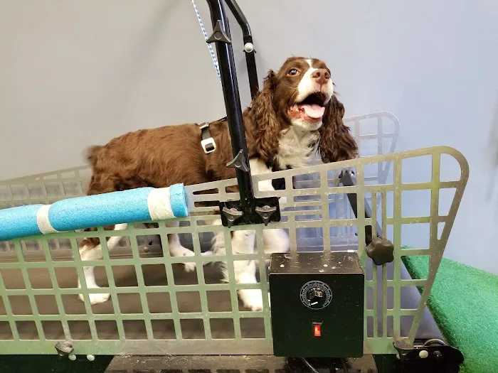 Healing Paws Picture 9