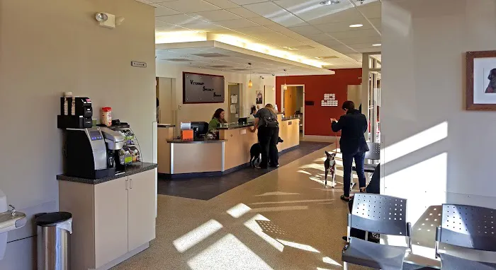 Veterinary Specialty Services Picture 2