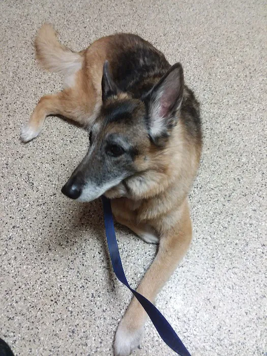 Veterinary Specialty Services Picture 7