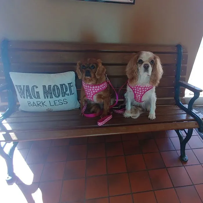 County Animal Hospital Picture 3