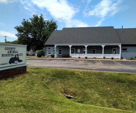 County Animal Hospital