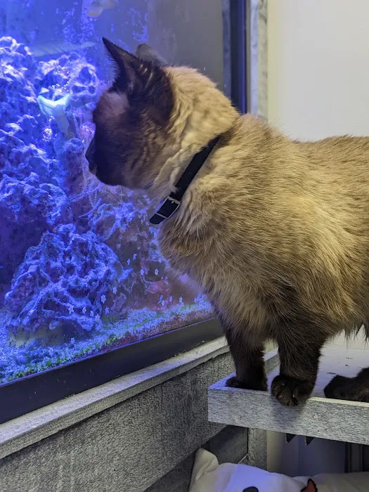 County Animal Hospital Picture 5