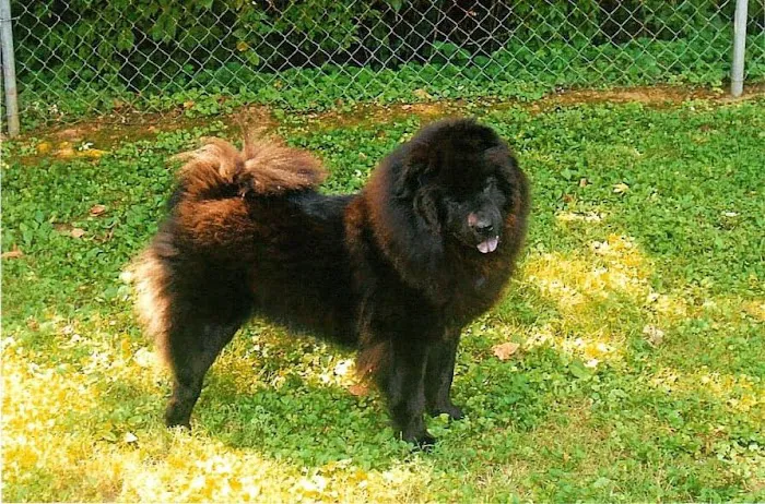 County Animal Hospital Picture 7