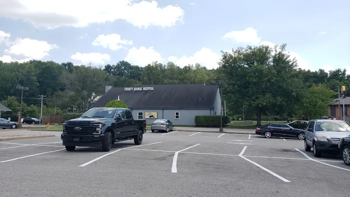 County Animal Hospital Picture 9