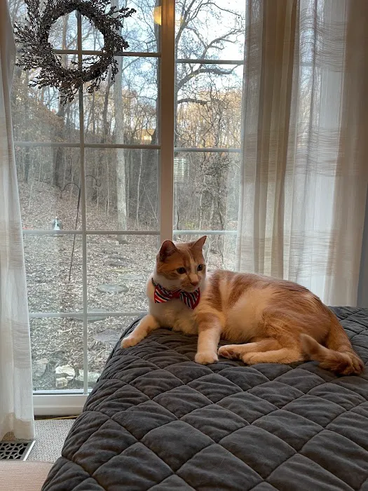 County Animal Hospital Picture 10