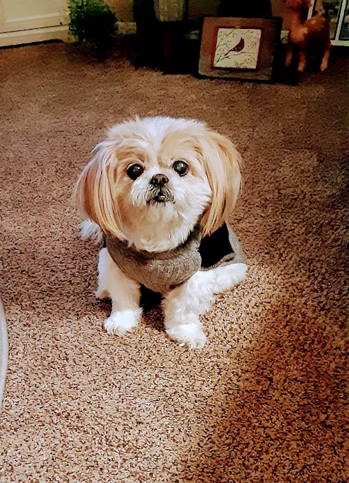 Barrett Station Veterinary Clinic Picture 1