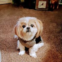 Barrett Station Veterinary Clinic ico