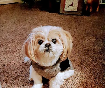 Barrett Station Veterinary Clinic