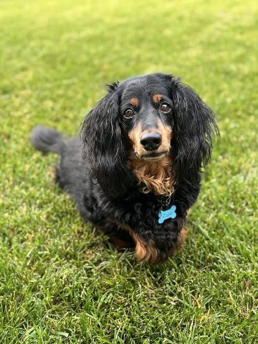 Barrett Station Veterinary Clinic Picture 2