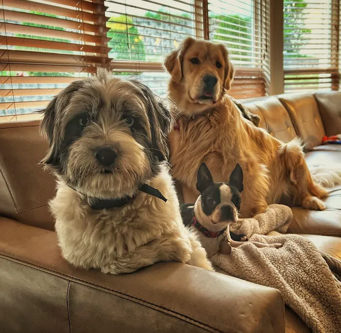 Barrett Station Veterinary Clinic Picture 4