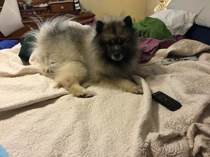 Barrett Station Veterinary Clinic Picture 3