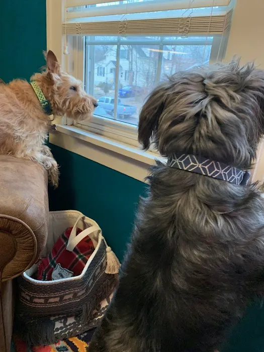 Barrett Station Veterinary Clinic Picture 8