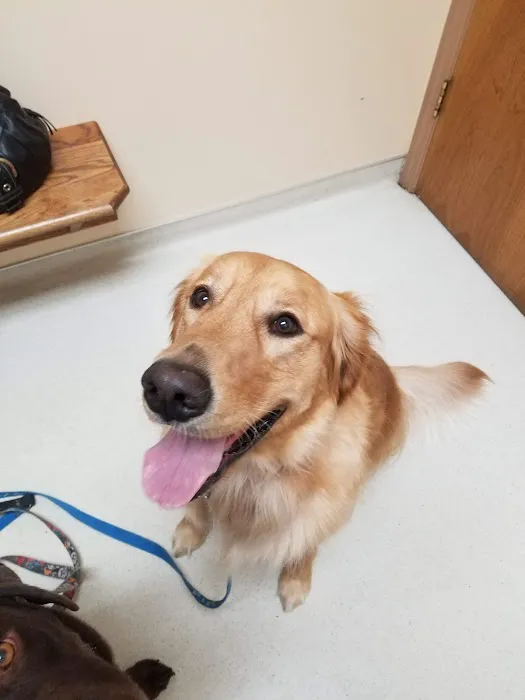 Barrett Station Veterinary Clinic Picture 5