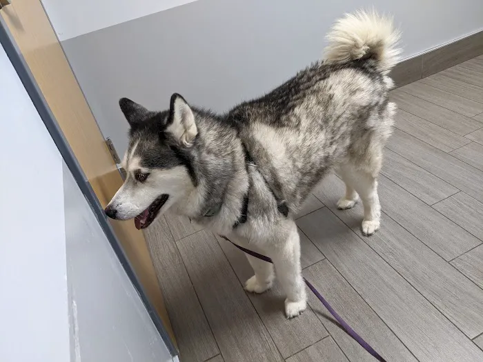 Barrett Station Veterinary Clinic Picture 7