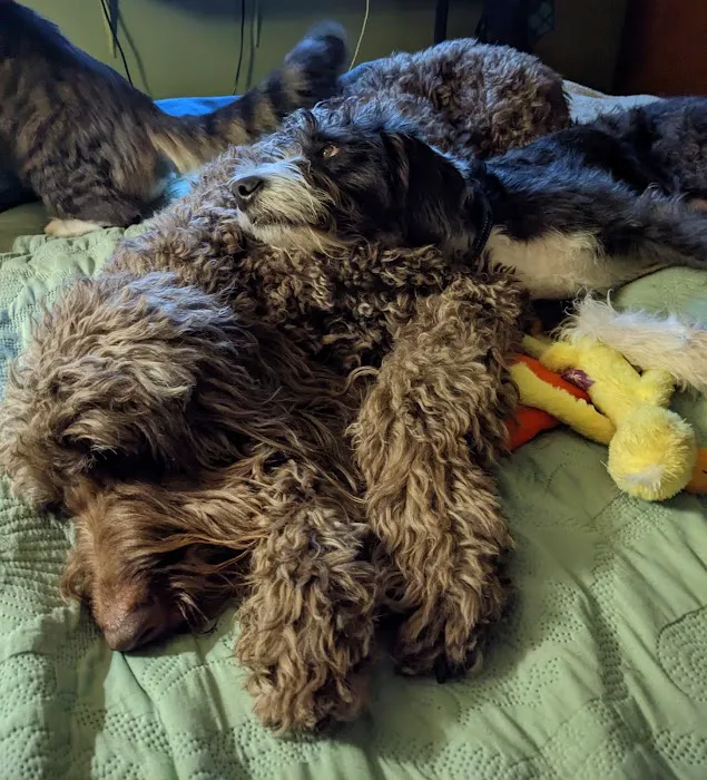 Barrett Station Veterinary Clinic Picture 6