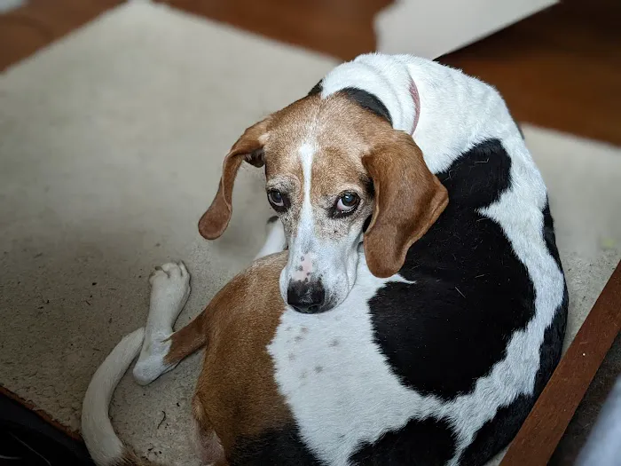 Barrett Station Veterinary Clinic Picture 9