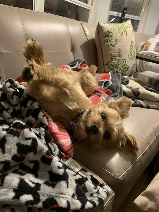 Barrett Station Veterinary Clinic Picture 10