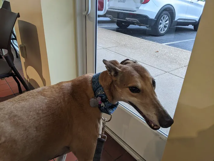 Sulphur Springs Veterinary Clinic LLC Picture 4