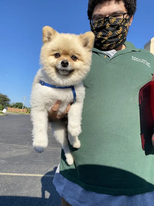 Sulphur Springs Veterinary Clinic LLC Picture 2