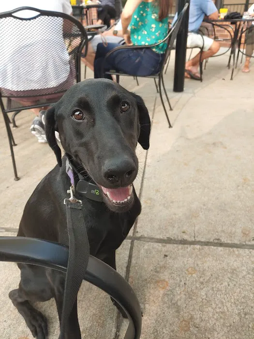 Sulphur Springs Veterinary Clinic LLC Picture 7