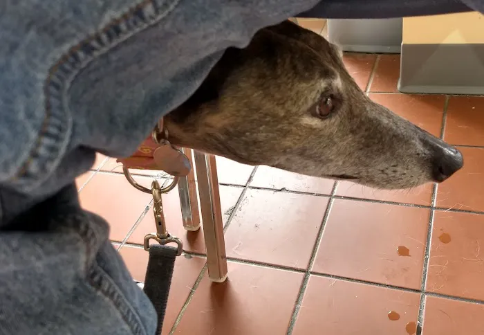 Sulphur Springs Veterinary Clinic LLC Picture 5