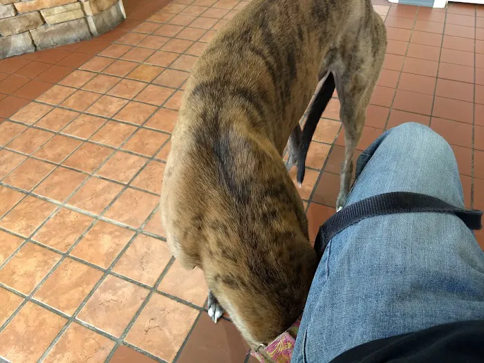 Sulphur Springs Veterinary Clinic LLC Picture 9