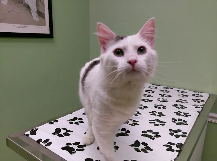 Tri-City Animal & Bird Clinic Picture 3