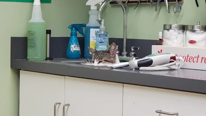 Tri-City Animal & Bird Clinic Picture 2