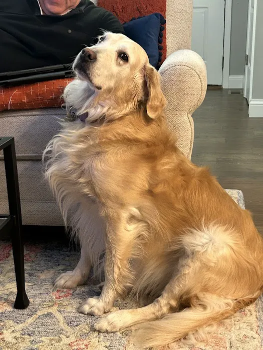 Tri-City Animal & Bird Clinic Picture 6