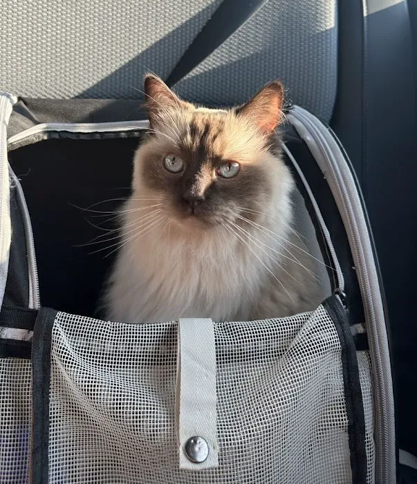 Tri-City Animal & Bird Clinic Picture 7