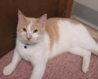 Tri-City Animal & Bird Clinic Picture 4