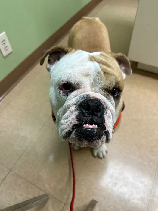 Tri-City Animal & Bird Clinic Picture 5